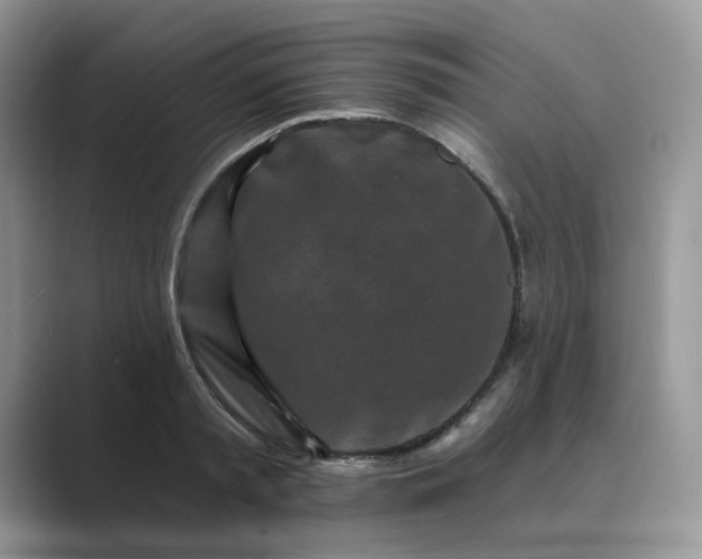 X0000089660797200707051529