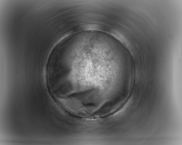 X0000089660798200707051529