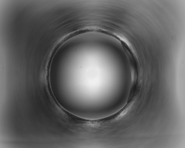 X0000089660799200707051529