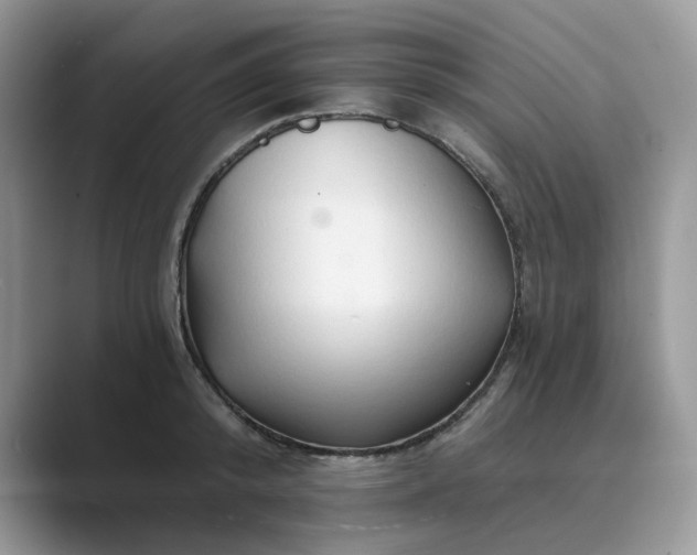 X0000089660800200707051529