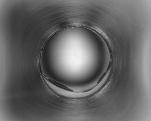 X0000089660801200707051529