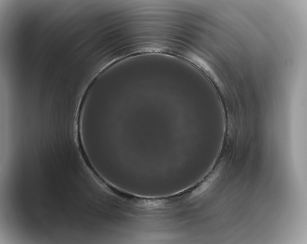 X0000089660802200707051529