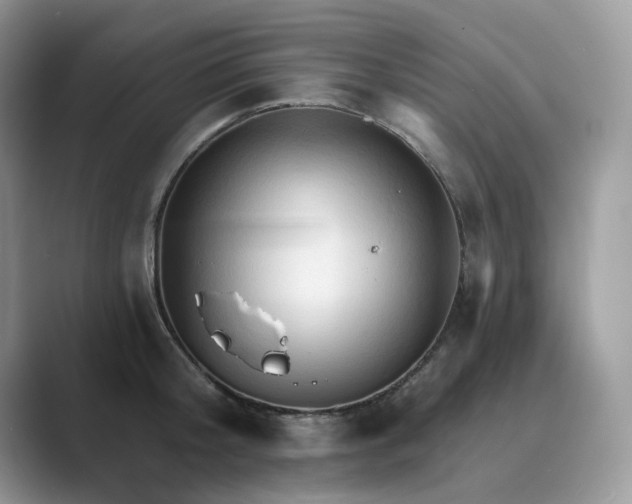 X0000089660804200707051529