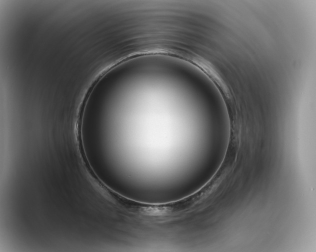 X0000089660805200707051529