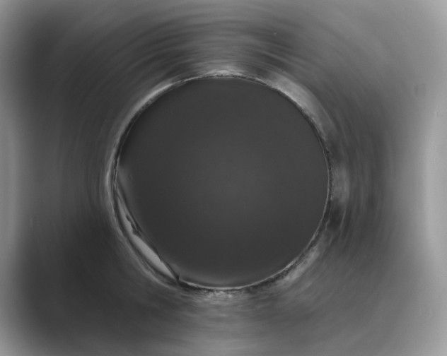 X0000089660806200707051529