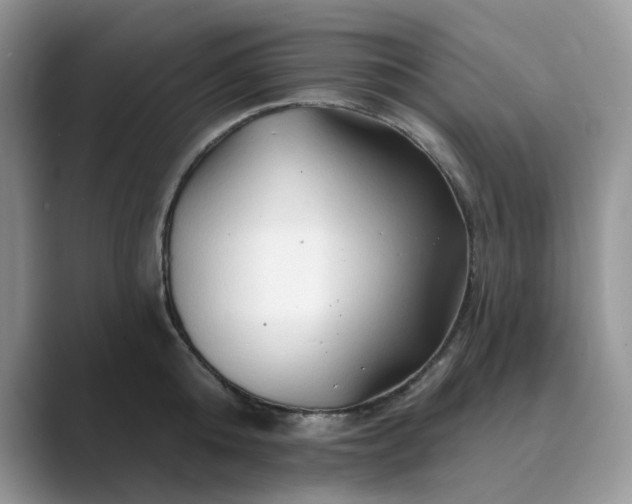 X0000089660808200707051529