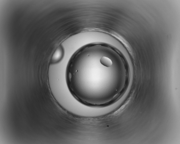 X0000089660809200707051529