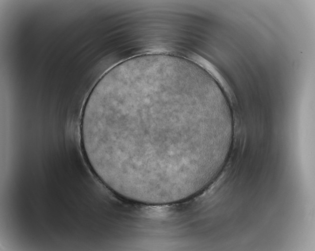 X0000089660810200707051529