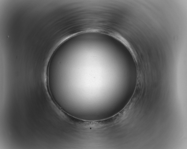 X0000089660811200707051529