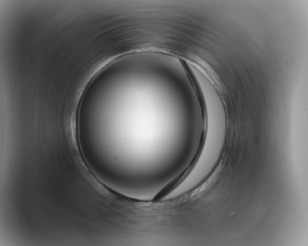 X0000089660812200707051529