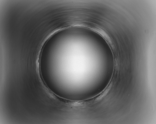 X0000089660814200707051528