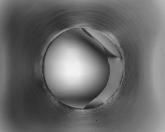 X0000089660816200707051528