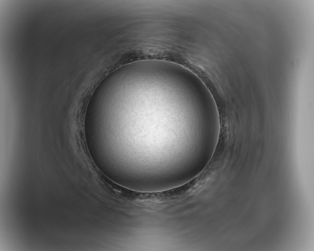 X0000089660817200707051528