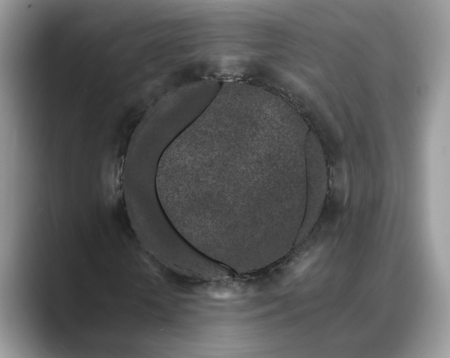 X0000089660818200707051528