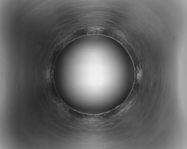 X0000089660819200707051528