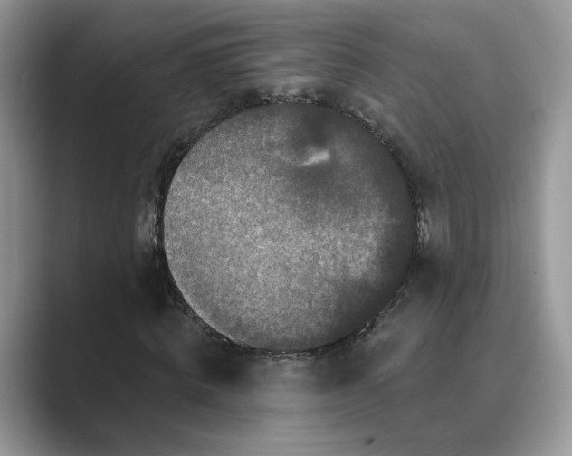 X0000089660820200707051528