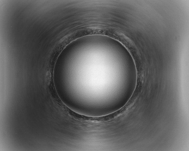 X0000089660821200707051528