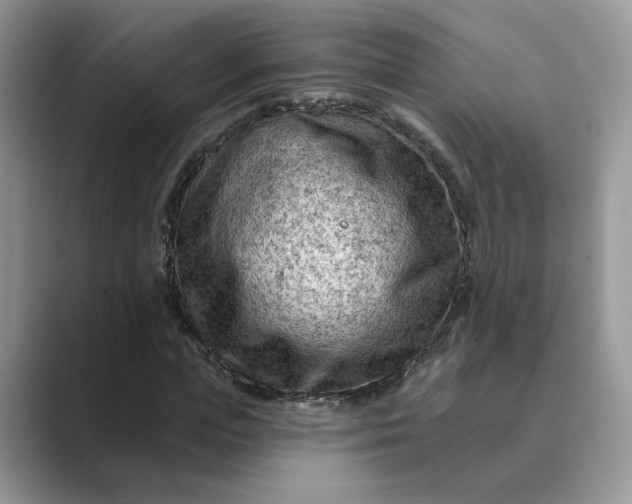 X0000089660823200707051528