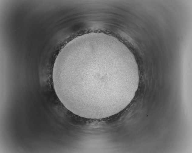 X0000089660824200707051528