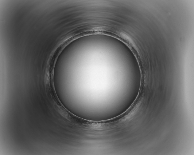 X0000089660827200707051528