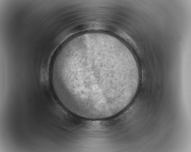 X0000089660828200707051528