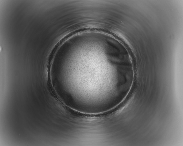 X0000089660829200707051528