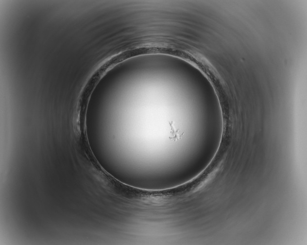 X0000089660830200707051528