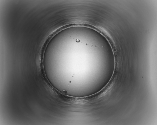 X0000089660831200707051528