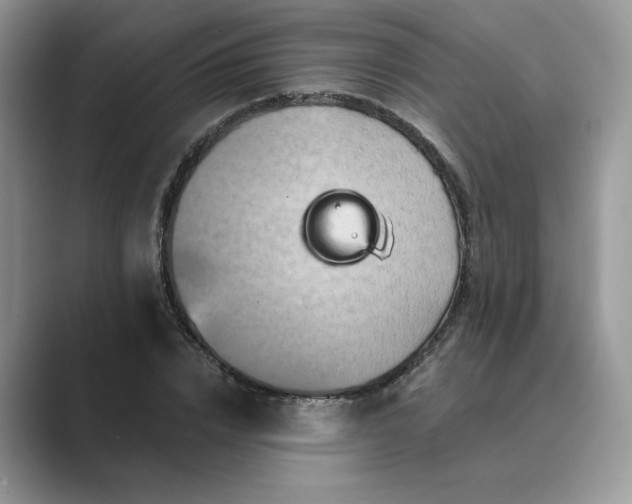 X0000089660832200707051528