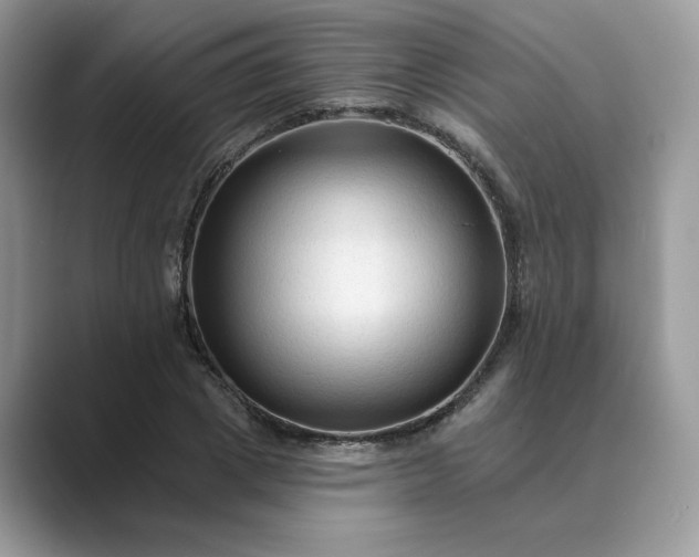 X0000089660833200707051528