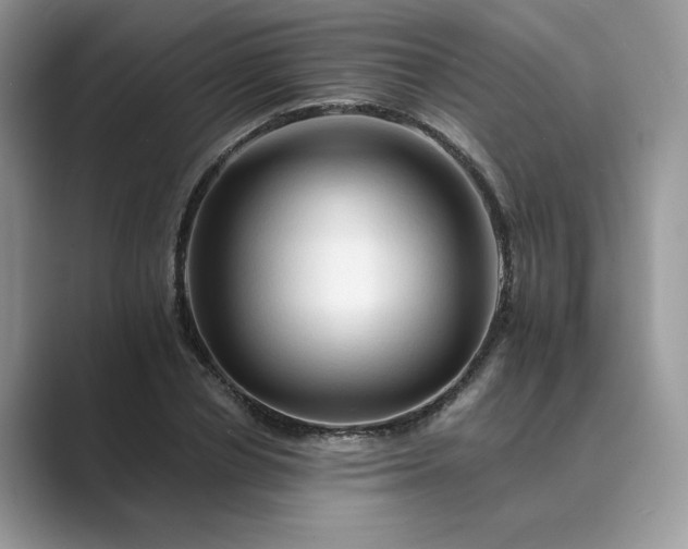 X0000089660834200707051528