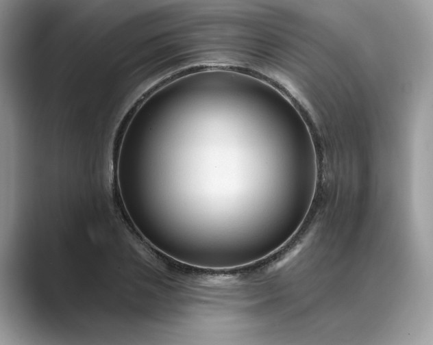 X0000089660837200707051528