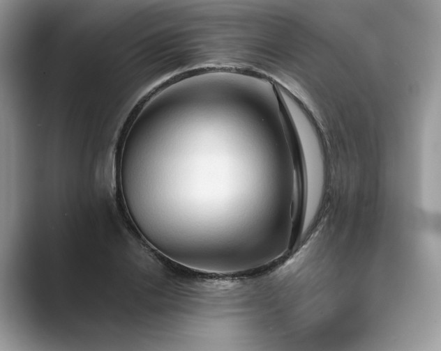 X0000089660838200707051528