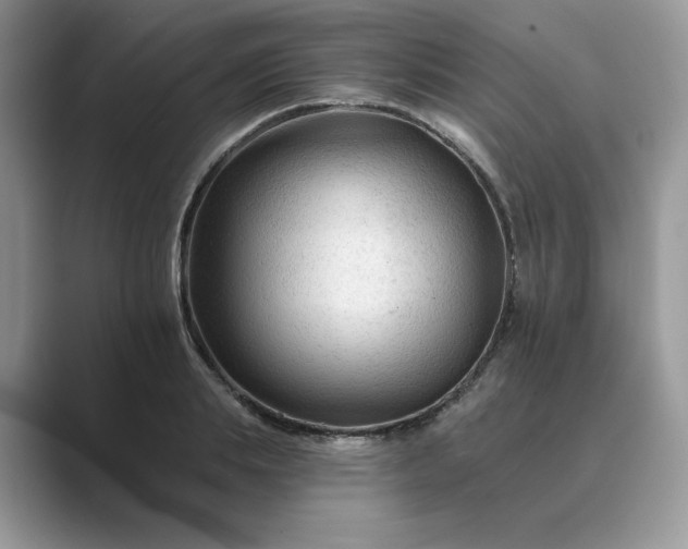 X0000089660839200707051528