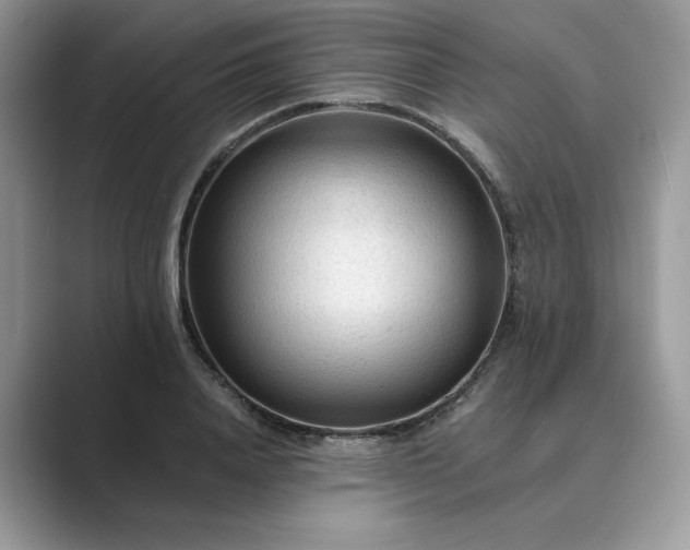 X0000089660840200707051528