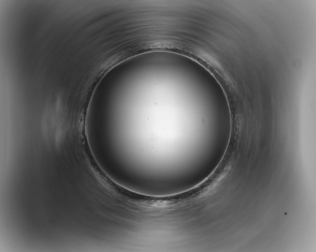 X0000089660841200707051528