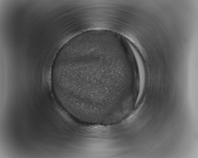 X0000089660842200707051528