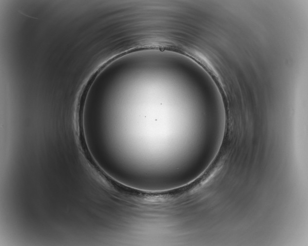 X0000089660843200707051528