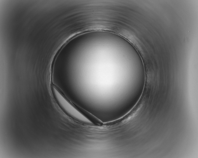 X0000089660844200707051528