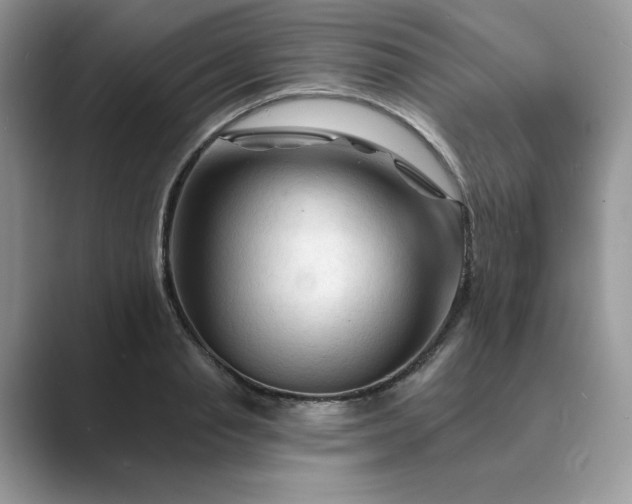 X0000089660845200707051528