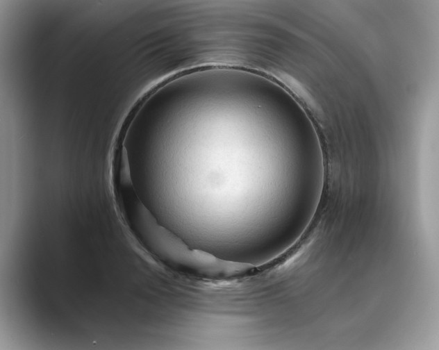 X0000089660846200707051528