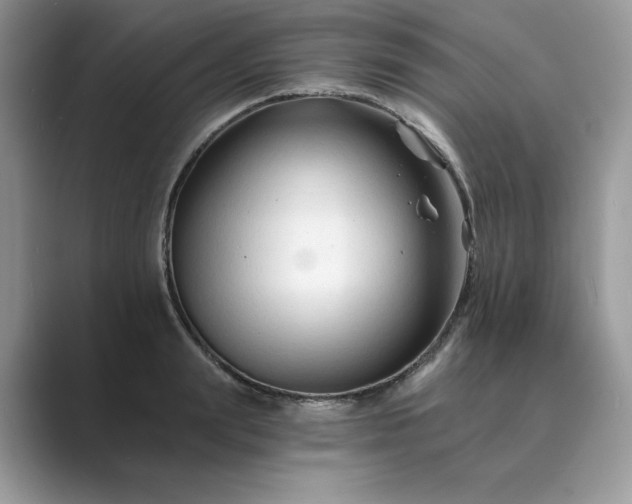 X0000089660847200707051528