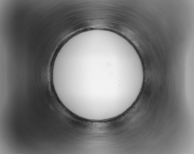 X0000089660848200707051528