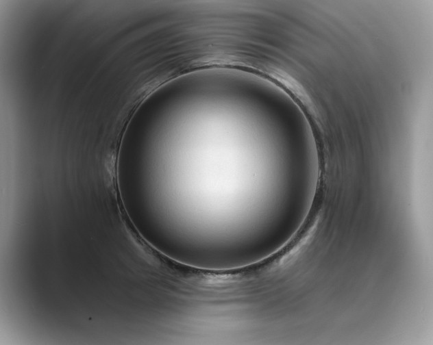 X0000089660849200707051528