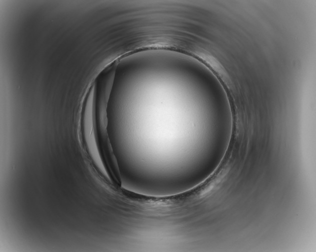 X0000089660850200707051528