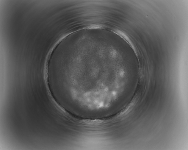 X0000089660851200707051528