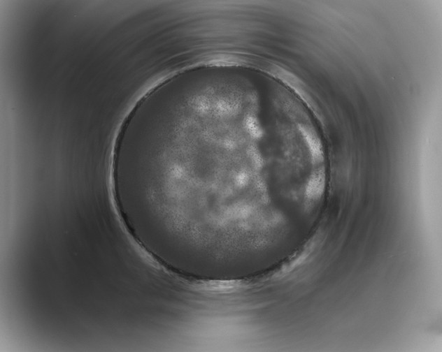 X0000089660853200707051528