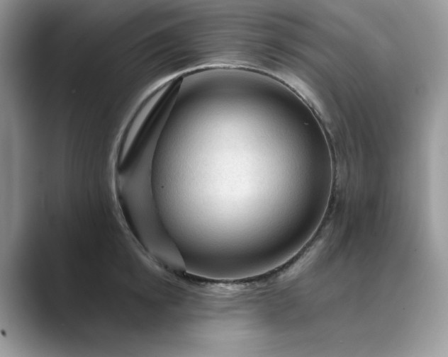 X0000089660854200707051528