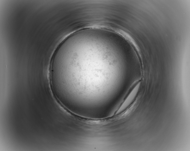 X0000089660855200707051528