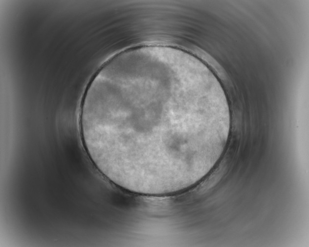 X0000089660856200707051528